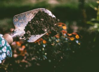 Mączka bazaltowa – wszystko co musisz wiedzieć, aby Twój ogród zapierał dech!