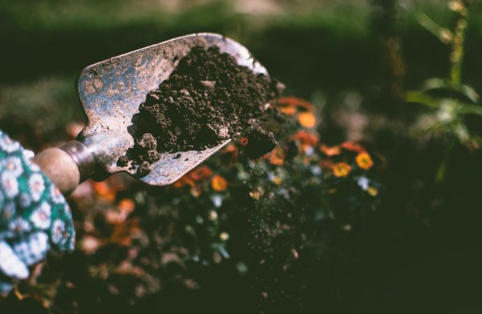 Mączka bazaltowa – wszystko co musisz wiedzieć, aby Twój ogród zapierał dech!