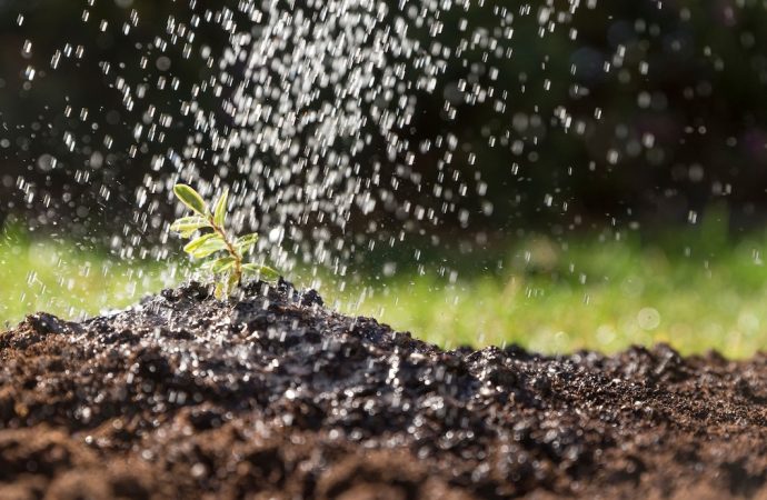 Jak skutecznie poprawić absorpcję wody w glebie przy użyciu systemów rozsączających?